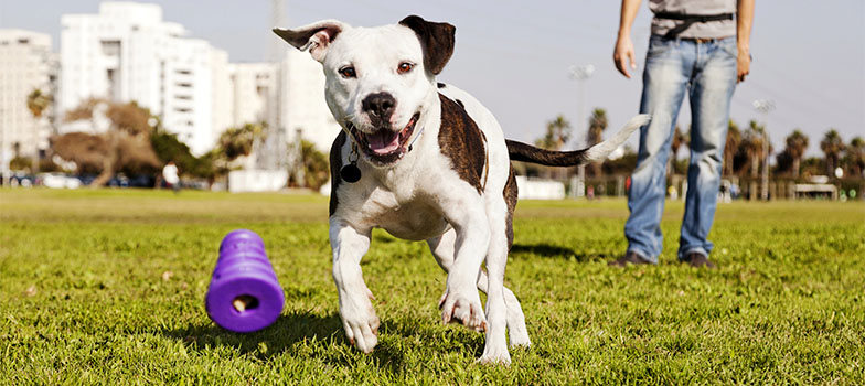 Portal_1 (Mobile) appmapfre