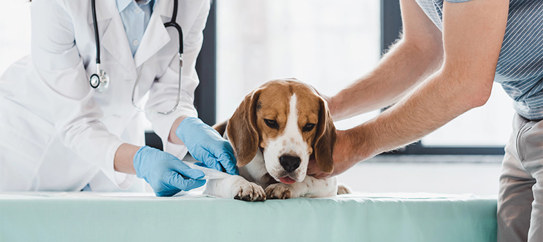 Portal_14 (Mobile) appmapfre