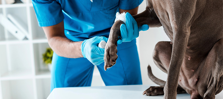 Portal_15 (Mobile) appmapfre