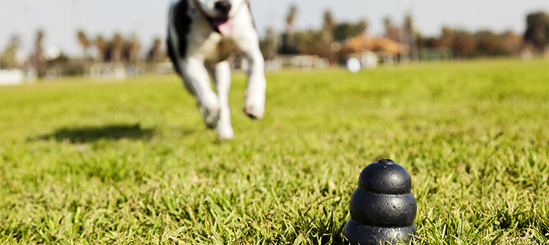 Portal_2 (Mobile) appmapfre