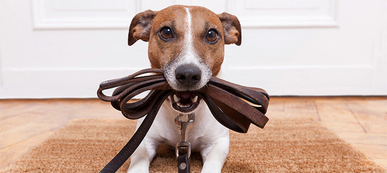 Portal_7 (Mobile) appmapfre