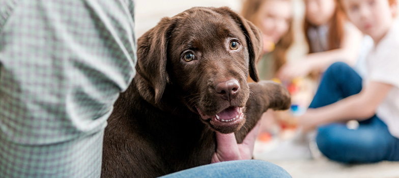 Portal_7 (Mobile) appmapfre