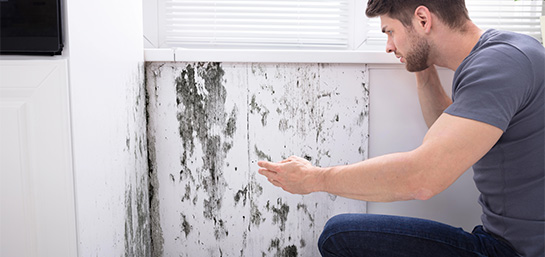 ¿Cómo reclamar al seguro humedades en casa?