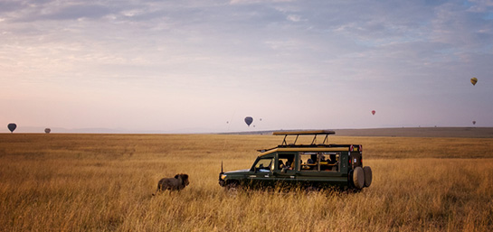 Lo que no puedes olvidar para un safari en África