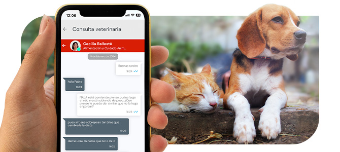 MAPFRE Seguros, Cuidamos lo que te importa